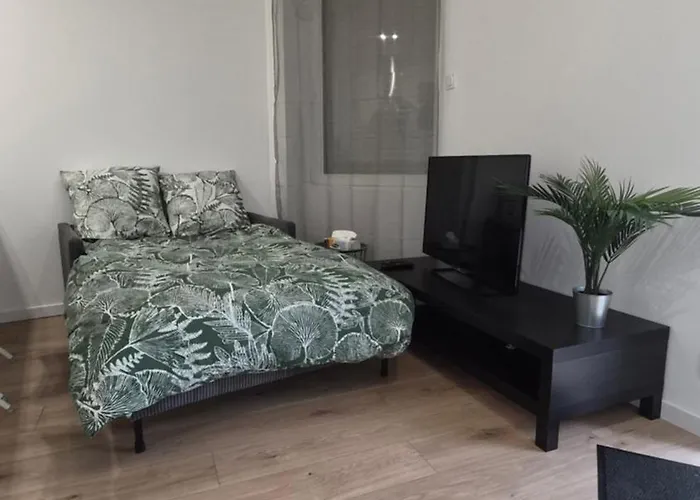 Lejlighed Cosy Neuf En Plein Centre